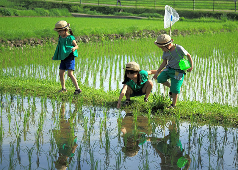 日本水?dāng)z影大賽33屆入圍獎項作品集錦