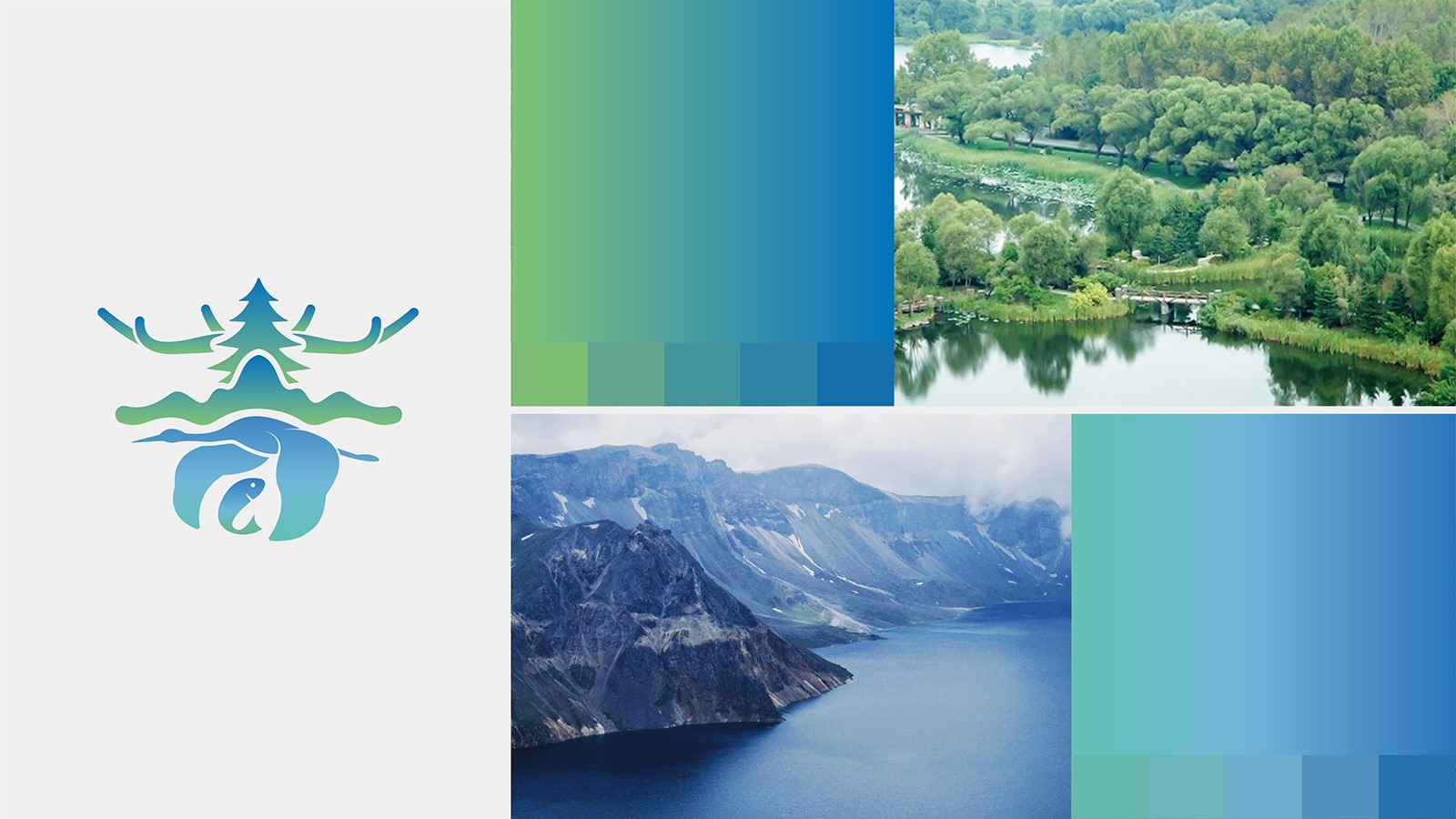 高昂的公司vi設(shè)計報價我們應(yīng)該去堅持嗎？