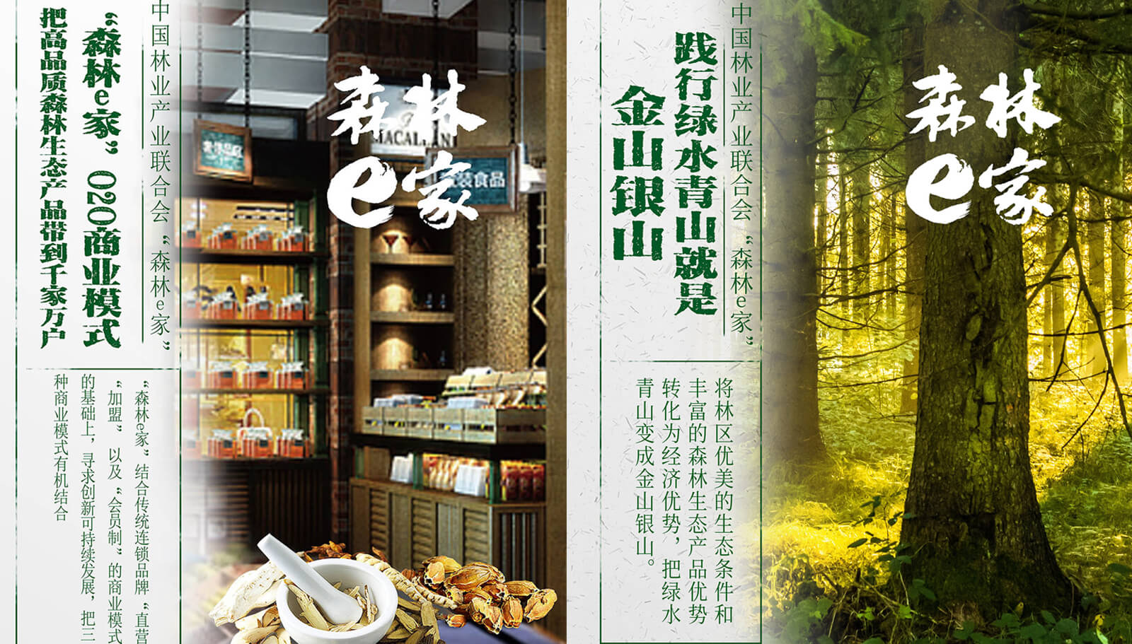 1562741921560345.jpg 品牌策劃全案設(shè)計(jì)