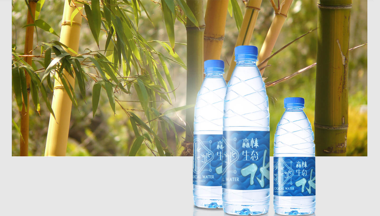 1562741921608393.jpg 品牌策劃全案設(shè)計(jì)