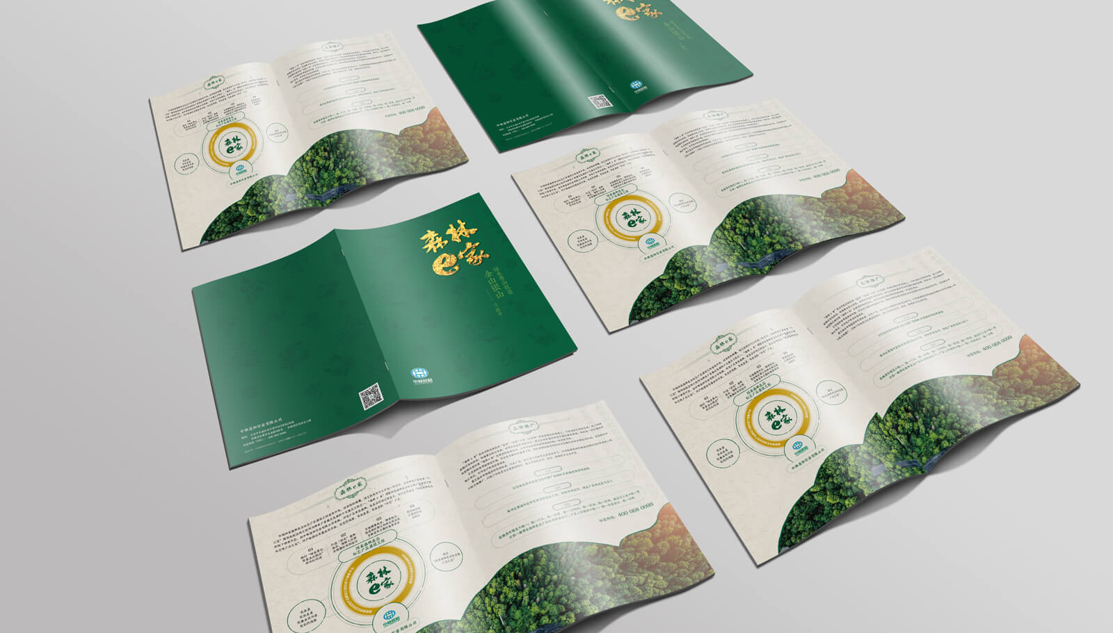 1562741921710955.jpg 品牌策劃全案設(shè)計(jì)