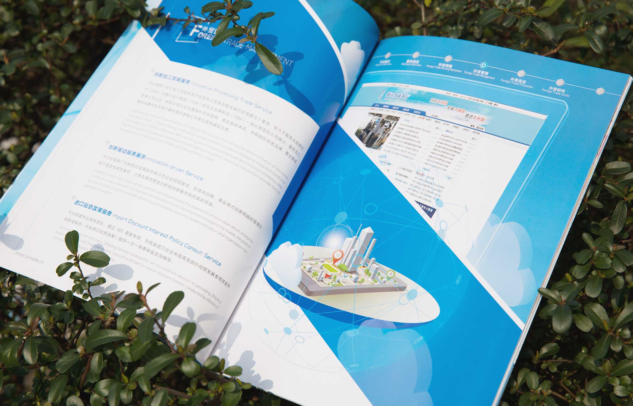 省對(duì)外貿(mào)易平臺(tái)畫(huà)冊(cè)