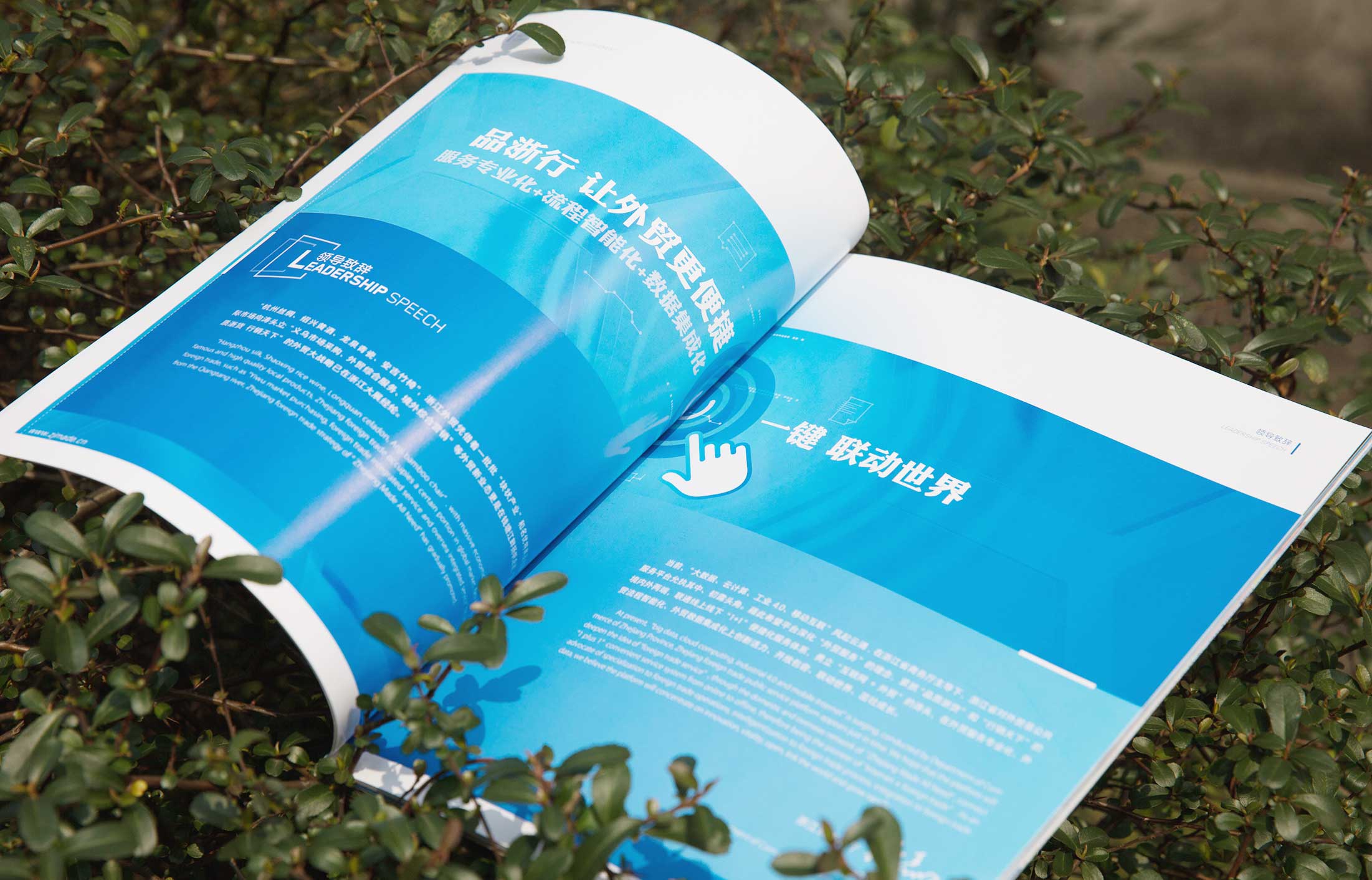 省對(duì)外貿(mào)易平臺(tái)畫(huà)冊(cè)