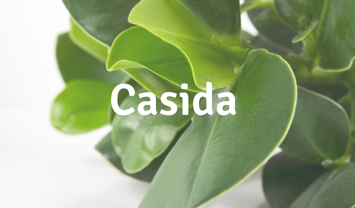 藥品包裝設計 藥品包裝設計